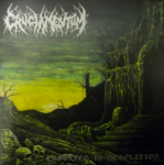 CRUCIAMENTUM - Engulfed in Desolation MCD